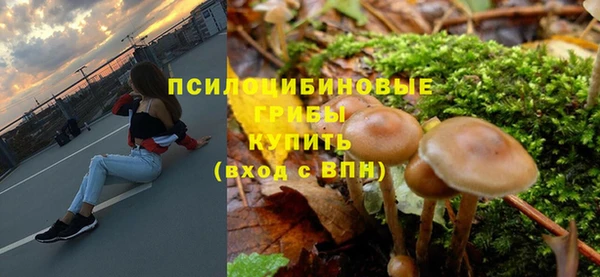 дурь Лагань