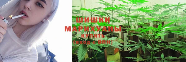 дурь Лагань